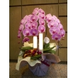東京都豊島区花利の花　胡蝶蘭　ピンク
