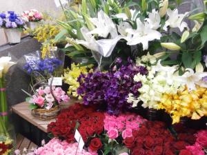春！｜「花利」　（東京都豊島区の花キューピット加盟店 花屋）のブログ